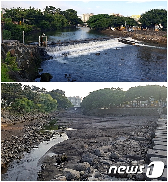 제주 월대천에 수량이 풍부했을 때(사진 위쪽)와 최근 점차 수량이 줄며 하천 바닥을 드러내고 있는 모습.(외도동주민자치위원회 제공)2020.9.28 /뉴스1© News1