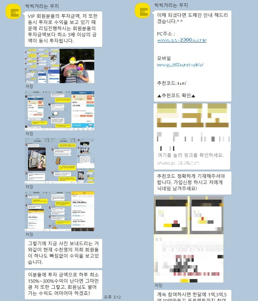 애널리스트 사칭 카카오톡 채널 상담 내용 /사진=김태현 기자