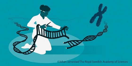 유전자가위 이미지/사진=노벨위원회