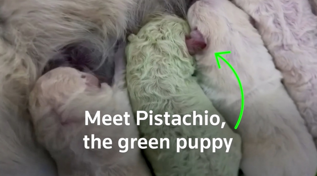 /사진=뉴스1/로이터