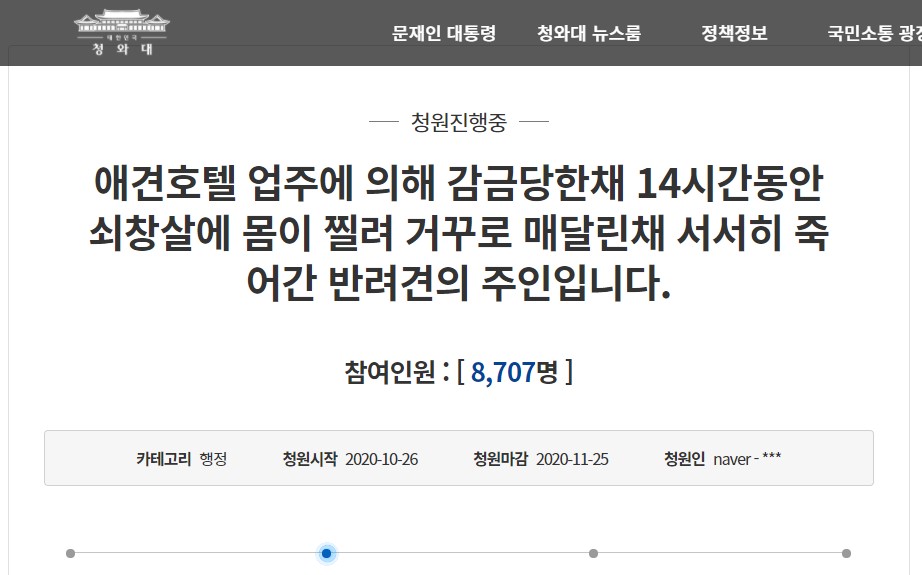 곰순이의 첫번째 생일 축하 사진. 2년 10개월이란 짧은 삶을 마지막으로 무지개 다리를 건너게 됐다. 아픔 없는 편안한 곳으로 갔을, 곰순이의 명복을 빌며. 그리고 또 다른 곰순이가 나오지 않길 바라며./사진=곰순이 보호자