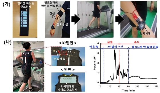 벤드 및 의복 형태로 개발된 웨어러블 바이오 연료전지바이오 연료전지를 멀티셀 형태로 제작하여 팔에 찰 수 있는 벤드 및 의복 형태로 제작 할 수 있으며, 이를 사용자가 착용하고 운동하였을 때 발생하는 땀으로 별도의 추가적인 증폭회로 없이 전자시계를 직접 구동할 수 있는 에너지가 발생됨을 시연하였다/사진=서강대