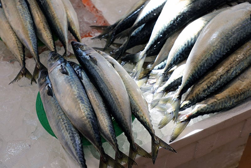 고등어/사진=머니투데이