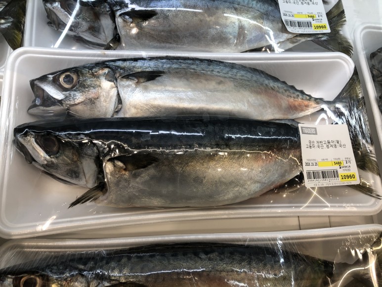 국산 자반 고등어/사진=머니투데이