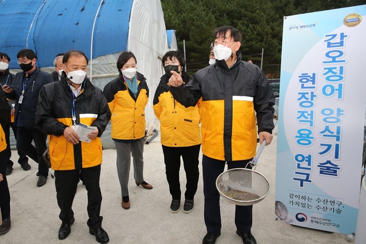 최완현 수산과학원 원장(오른쪽)이 2세대 양식 갑오징어를 뜰채에 담은 채 설명하고 있다. /사진=국립수산과학원
