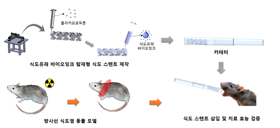 식도 스텐트 제작/사진=포스텍