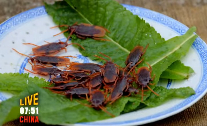 /사진=호주 ABC ME 유튜브