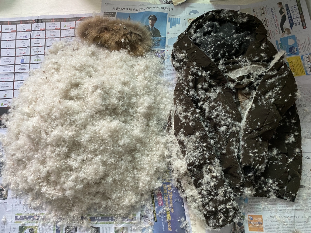 이래서 따뜻했었구나, 이래서 아팠겠구나./사진=남형도 기자