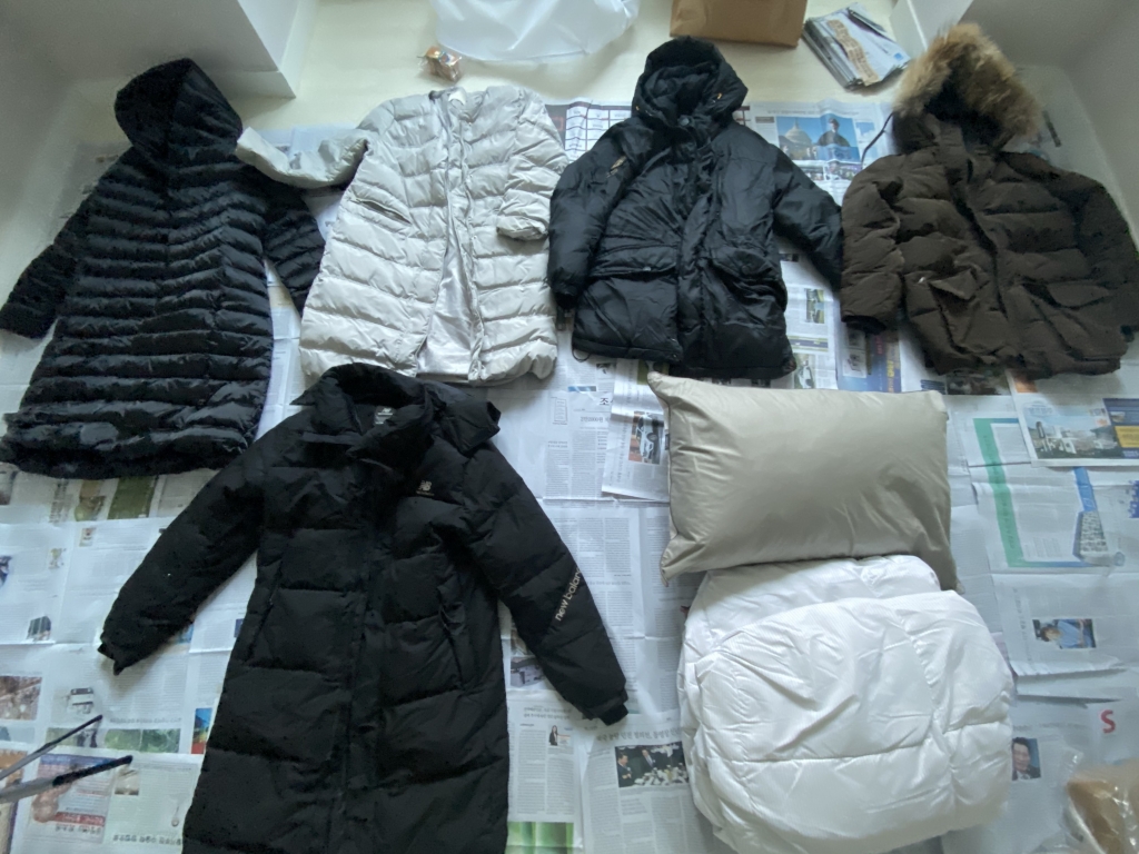 가까이서 찍은 거위 솜털과 깃털./사진=남형도 기자