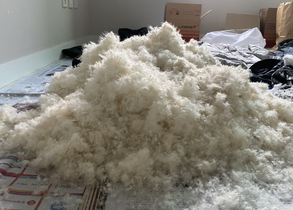 안감을 두 번 찢으니, 충전재로 쓰인 오리털이 드러났다./사진=남형도 기자