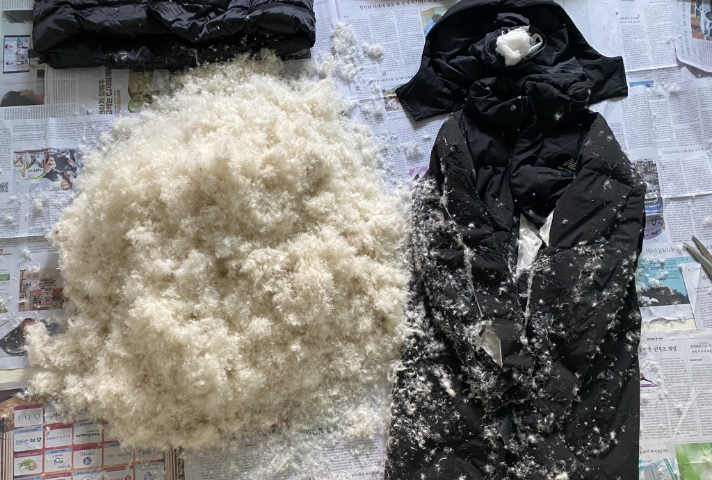고작 오리털 패딩 한 벌에, 이렇게 많은 털이 담겨 있을 줄은 몰랐다./사진=남형도 기자