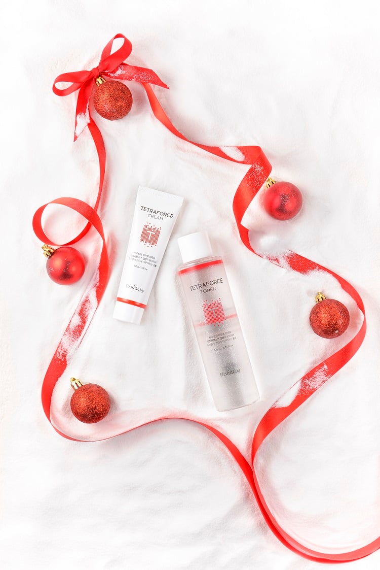 테트라 에디션 겨울/사진제공=엘리샤코이