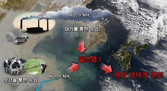 질소 오염물질의 유입으로 인한 해양의 비옥화와 생태계 교란/사진=포스텍