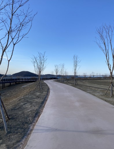 잠시만 빼어놓아도 얼얼해지는 손. 이 추운 날씨에 그는 어디에 있을지./사진=남형도 기자