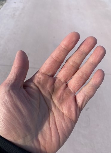 행주나루터부터 이어진 자전거길이 끝나는 지점. 포장된 길이 끝나고 흙길이 시작된다. 마주보이는 다리는 김포대교다. 장준호씨는 이곳에서 뛰어가 실종됐다./사진=남형도 기자