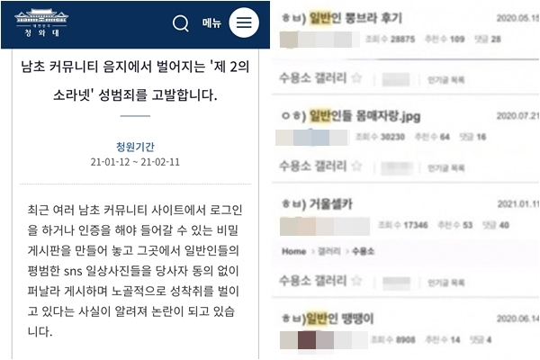 지난 12일 청와대 홈페이지에는 '남초 커뮤니티 음지에서 벌어지는 '제2의 소라넷' 성범죄를 고발한다'라는 제목의 청원이 올라왔다. /사진=청와대 홈페이지, SNS