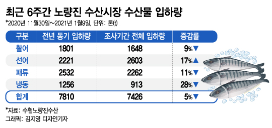 20일 손님 하나 없는 한산한 서울 노량진 수산시장 점심시간/사진=홍순빈 기자