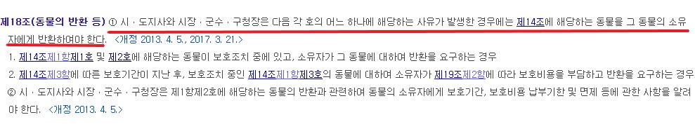 고양이 두 마리를 죽였던 학대자의 집엔, 이 새끼고양이 한 마리가 더 있었다./사진=동물자유연대