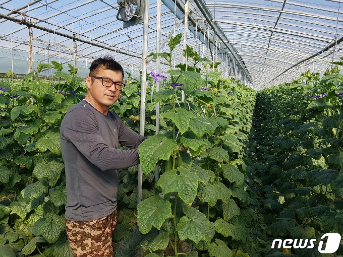 10일 폐허가 된 비닐하우스를 다시 일으켜 오이농사를 시작한 이근호씨가 농작물 앞에서 포즈를 취하고 있다.2021.2.10/뉴스1 © News1 지정운 기자