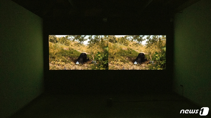 시선과 가치의 괴물 : 주의와 가치의 괴물 2020, 19:17(백다래 제공)© 뉴스1