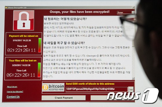 랜섬웨어 '워너크라이'에 감염된 컴퓨터 화면 /사진=뉴스1