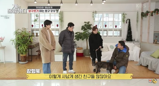 널따란 공간을 두고도 꼭 끝쪽에 앉는다는 원주. 그마저도 좋아서 이렇게 소중히 담아두는 게 보호자 마음이다./사진=원주 보호자님