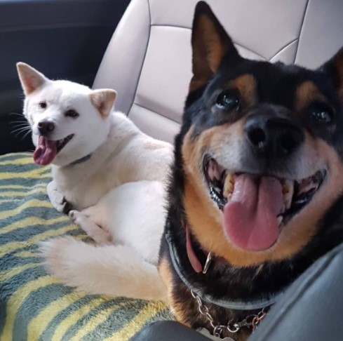 멋진 커피야, 오래오래 행복하기를. 누가 뭐라 하더라도 소중한 녀석이니./사진=커피 보호자님