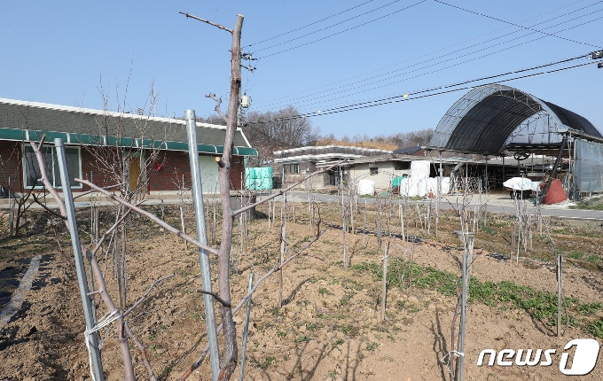 한국토지주택공사(LH) 직원들의 땅 투기 의혹 확산으로 세종시 연서면 스마트국가산업단지 개발 예정 부지에 대한 전수조사 여론이 높아지고 있다. 10일 와촌리 스마트국가산업단지 개발 예정 부지 주택 인근에 묘목이 심어져 있다. 2021.3.10 /뉴스1 © News1 김기태 기자