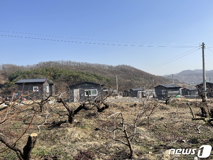 충북 충주 대소원면 완오리 바이오헬스 국가산단 예정지에 지어진 조립식 주택 앞으로 듬성듬성 심겨진 나무가 보이고 있다.2021.3.17/© 뉴스1