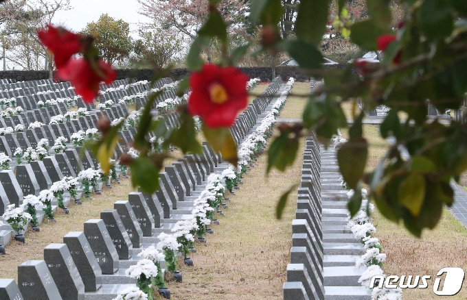 제73주년 제주4·3 추념일을 하루 앞둔 2일 오후 제주시 봉개동 4·3평화공원 내 행방불명인 묘역에 제주4·3을 상징하는 동백꽃이 펴 있다.2021.4.2/뉴스1 © News1 오현지 기자