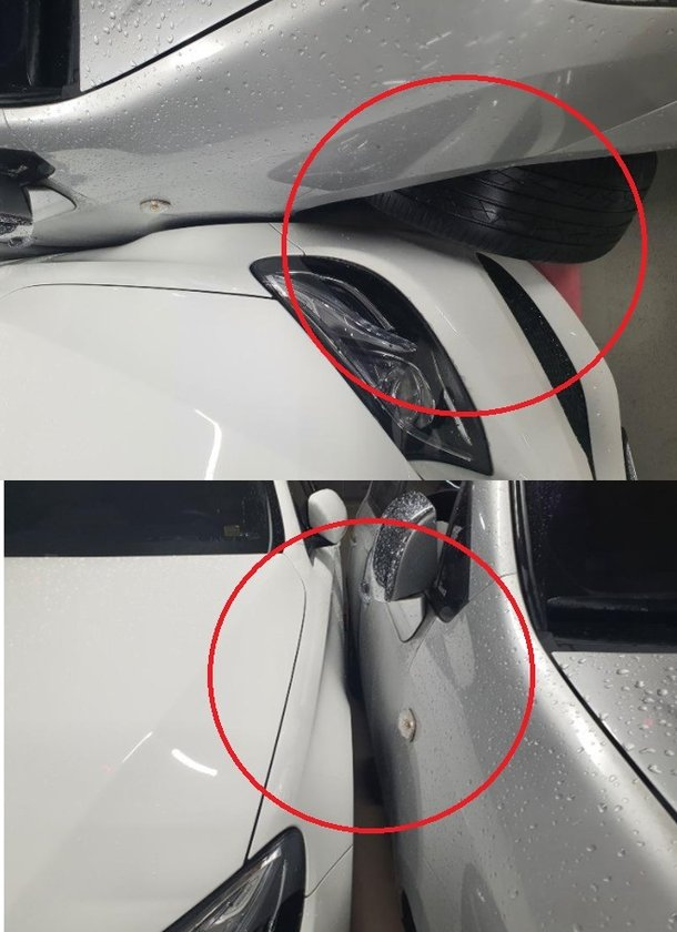 /사진=보배드림 갈무리