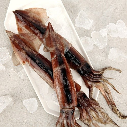 동의보감에 따르면 어린이를 낳게 하는 오징어. /사진=수협쇼핑