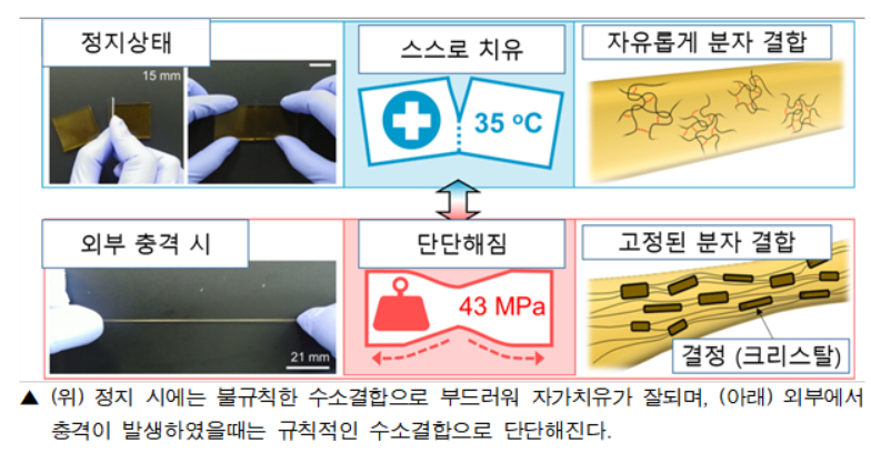 자가치유 소재 구조도. /사진=한국화학연구원