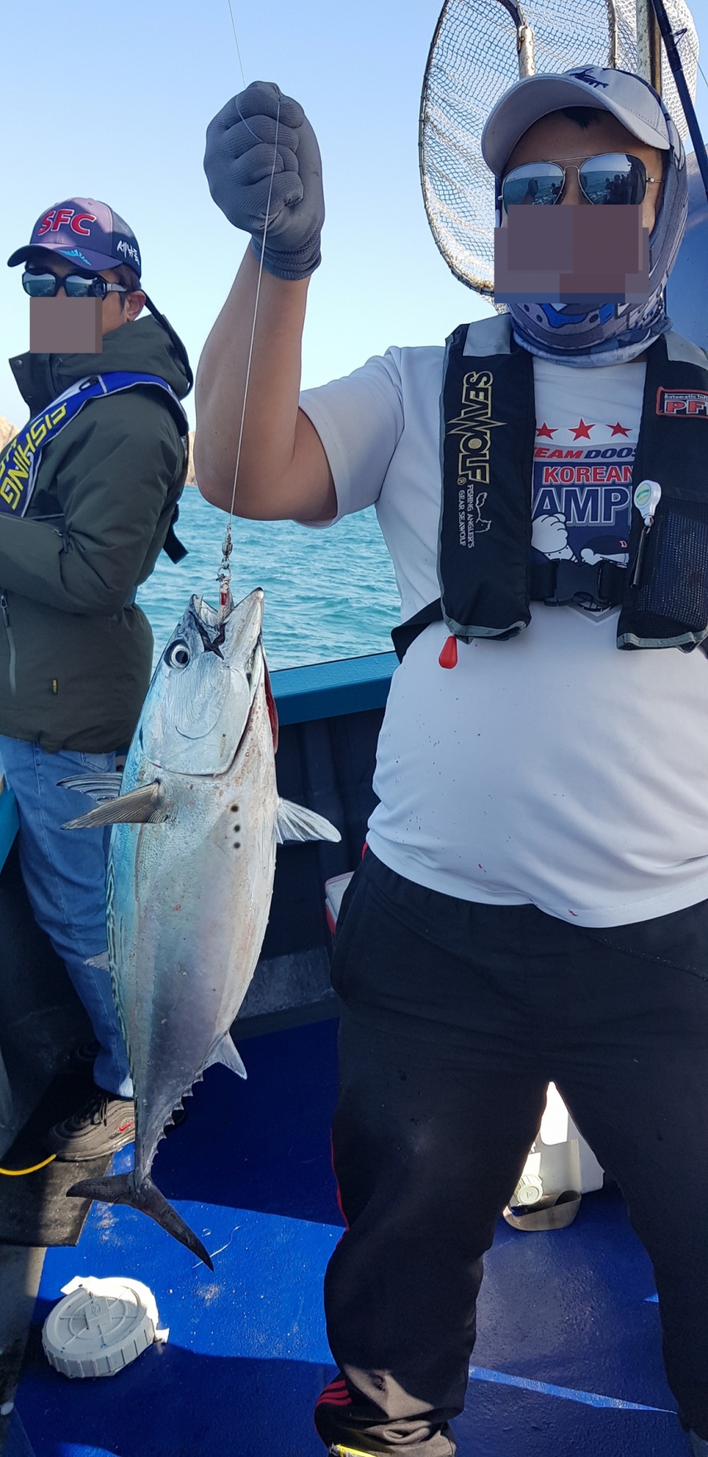 우리나라 연근해에서도 다랑어가 잡히긴 한다. 통영 앞바다에서 잡힌 점다랑어. /사진=최우영 기자
