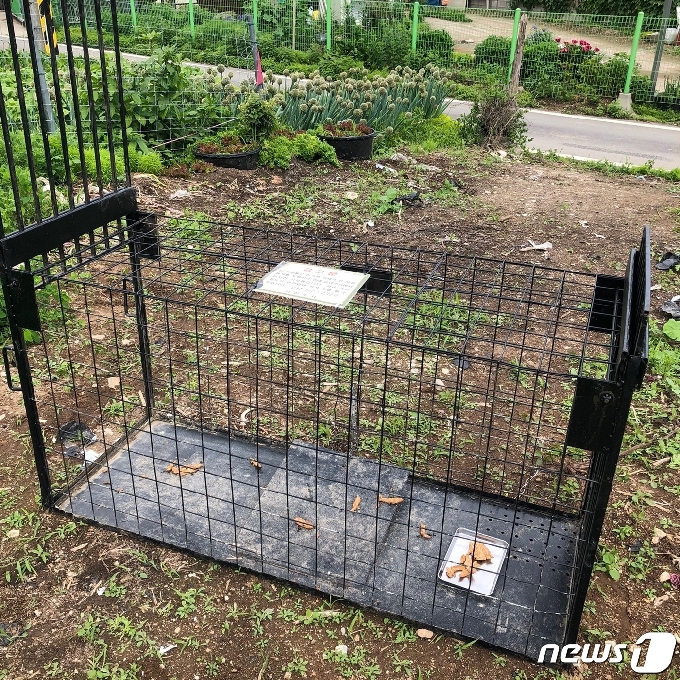 50대 여성을 피습한 야산 일대 목줄 없는 개들을 포획하기 위해 설치한 포획틀 © 뉴스1