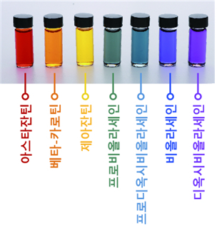 미생물을 통해 생산한 일곱 가지 무지개 색소. /사진=카이스트