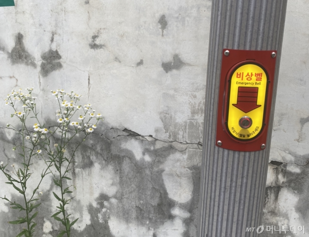 텅 빈 골목에 설치돼 있던 비상벨. 고양이들이 위험할 땐 누가 대신 눌러줄까. 매년 계속 삶이 피어 있기를 바라는 마음만 애달프다./사진=남형도 기자