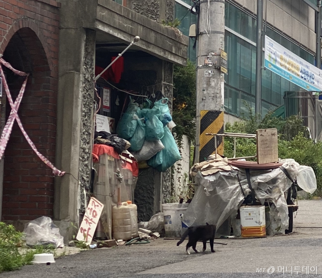 먹을 것도, 마실 것도, 다 사라진 황량한 거리를 헤매는 까만 고양이. 함께 살았는데, 그 공간에 여전히 있는데, 다 떠나고 고양이들만 남았다./사진=남형도 기자