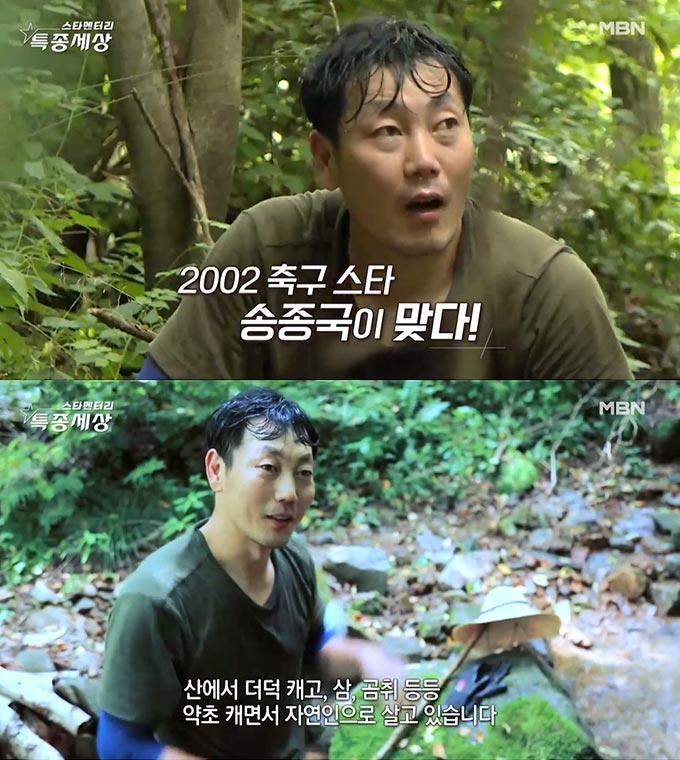 /사진=MBN '현장르포 특종세상' 방송 화면 캡처
