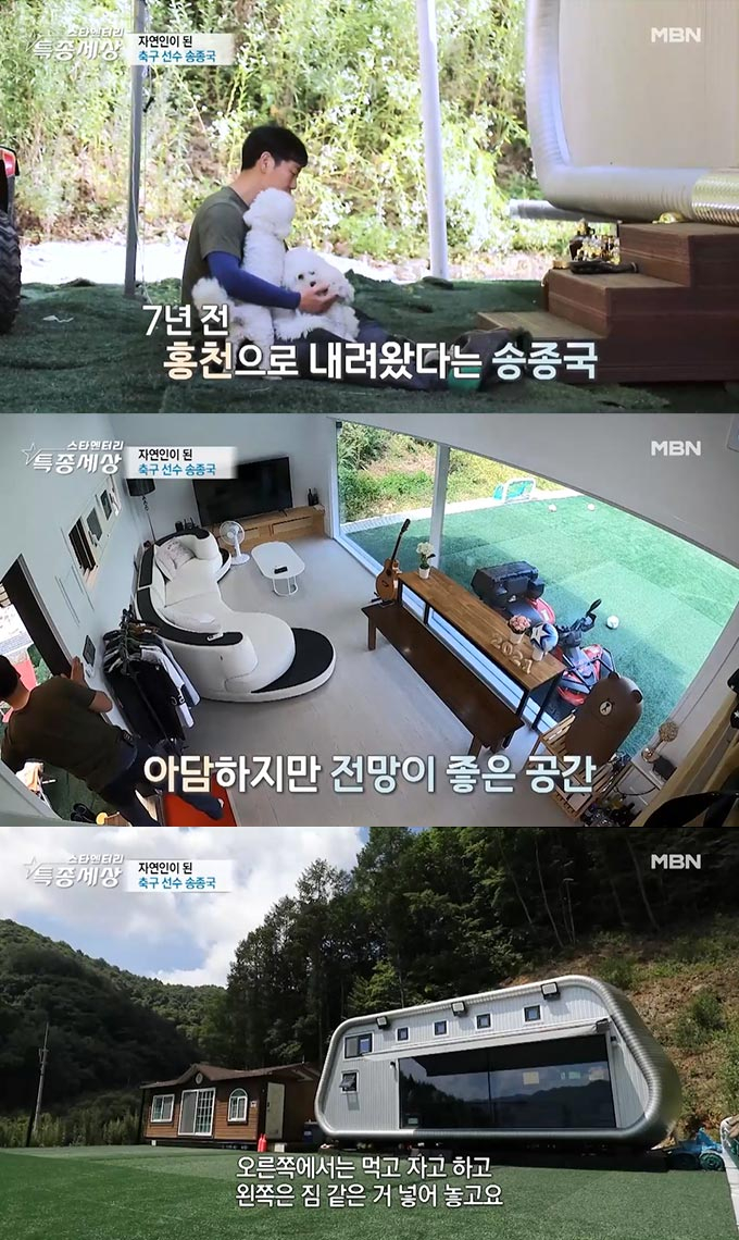 /사진=MBN '현장르포 특종세상' 방송 화면 캡처