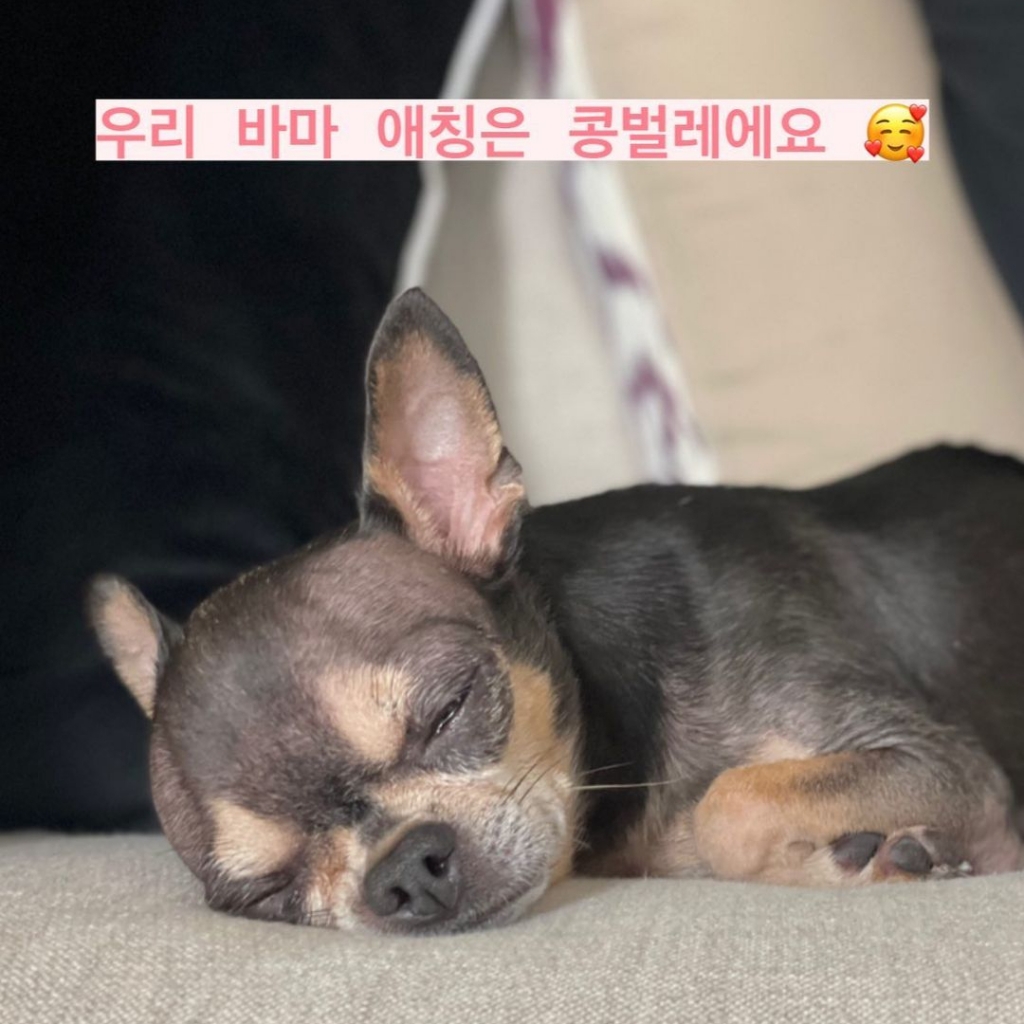 /사진=한예슬 인스타그램