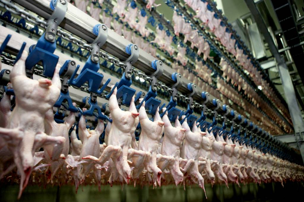 하림 닭 가공 공장/사진= 하림