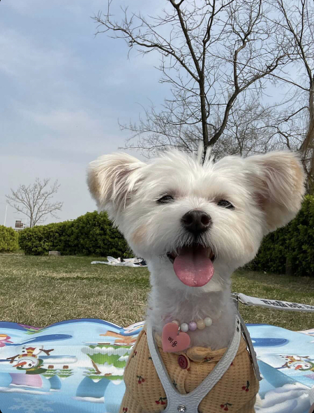 기분이 좋아요, 방긋./사진=삐용이 보호자님
