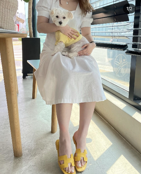 노랑으로 깔맞춤 한 삐용이와 삐용이 엄마 보호자님./사진=삐용이 보호자님