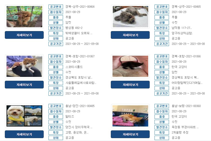 동물보호관리시스템 홈페이지 내에서 공고된 유실유기동물들. 공고 기간을 잘 살펴보시기를, 그 기간이 지나면 안락사를 시키니까./사진=동물보호관리시스템 홈페이지