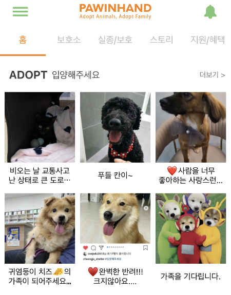 유기동물을 입양할 수 있는 '포인핸드' 앱./사진=포인핸드 앱 화면