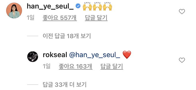 /사진=이근 대위 인스타그램 댓글창 캡처