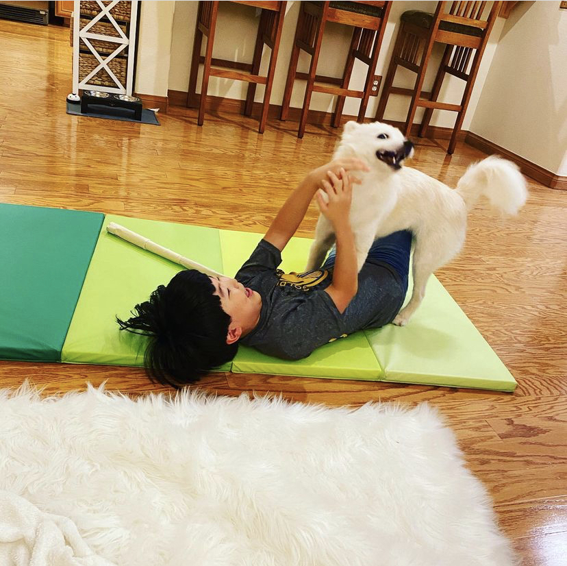 함께 뛰어노는 앨런와 크림이. 매순간이 추억이 된다./사진=크림이 보호자님