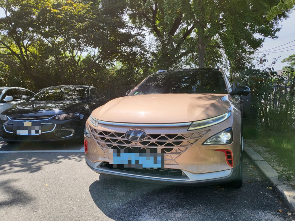 정응재씨(39)의 수소전기차 넥쏘/사진=이강준 기자