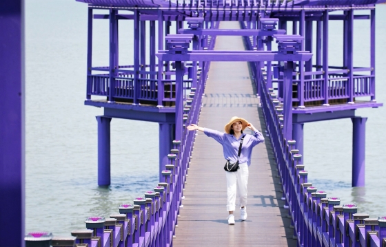 ▲신안의 퍼플섬은 보라색으로 꾸며져 있다./사진=전남도청 제공